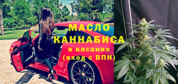 мет Алексин