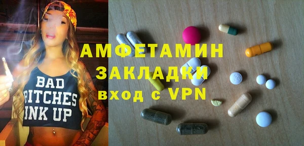 мет Алексин